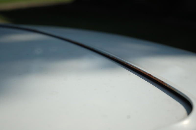 Name:  DSC_0526.jpg
Views: 53
Size:  37.7 KB