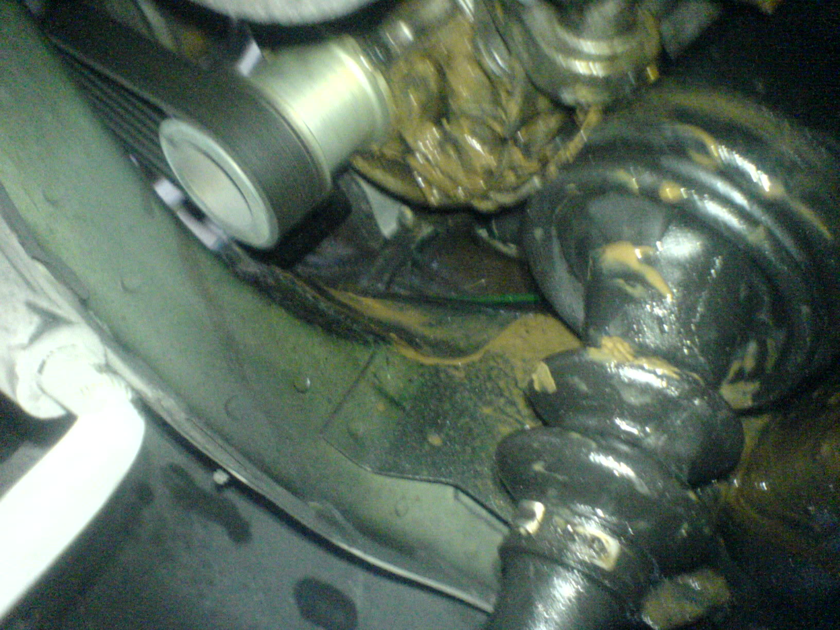 Name:  DSC00644.jpg
Views: 115
Size:  317.8 KB