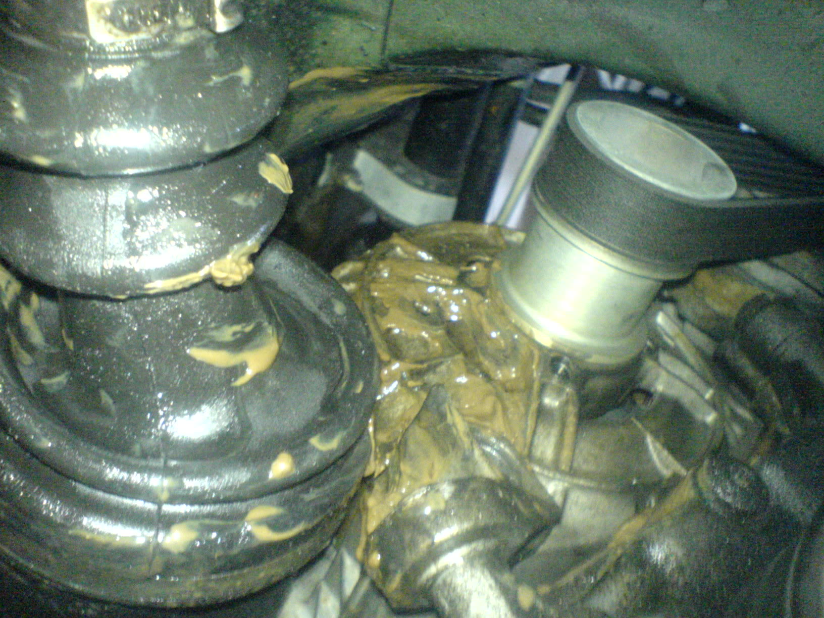 Name:  DSC00649.jpg
Views: 127
Size:  327.8 KB