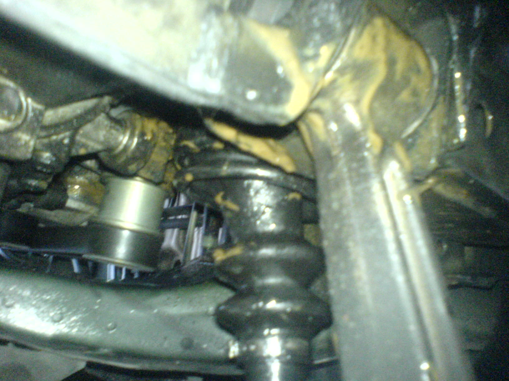 Name:  DSC00648.jpg
Views: 136
Size:  272.9 KB